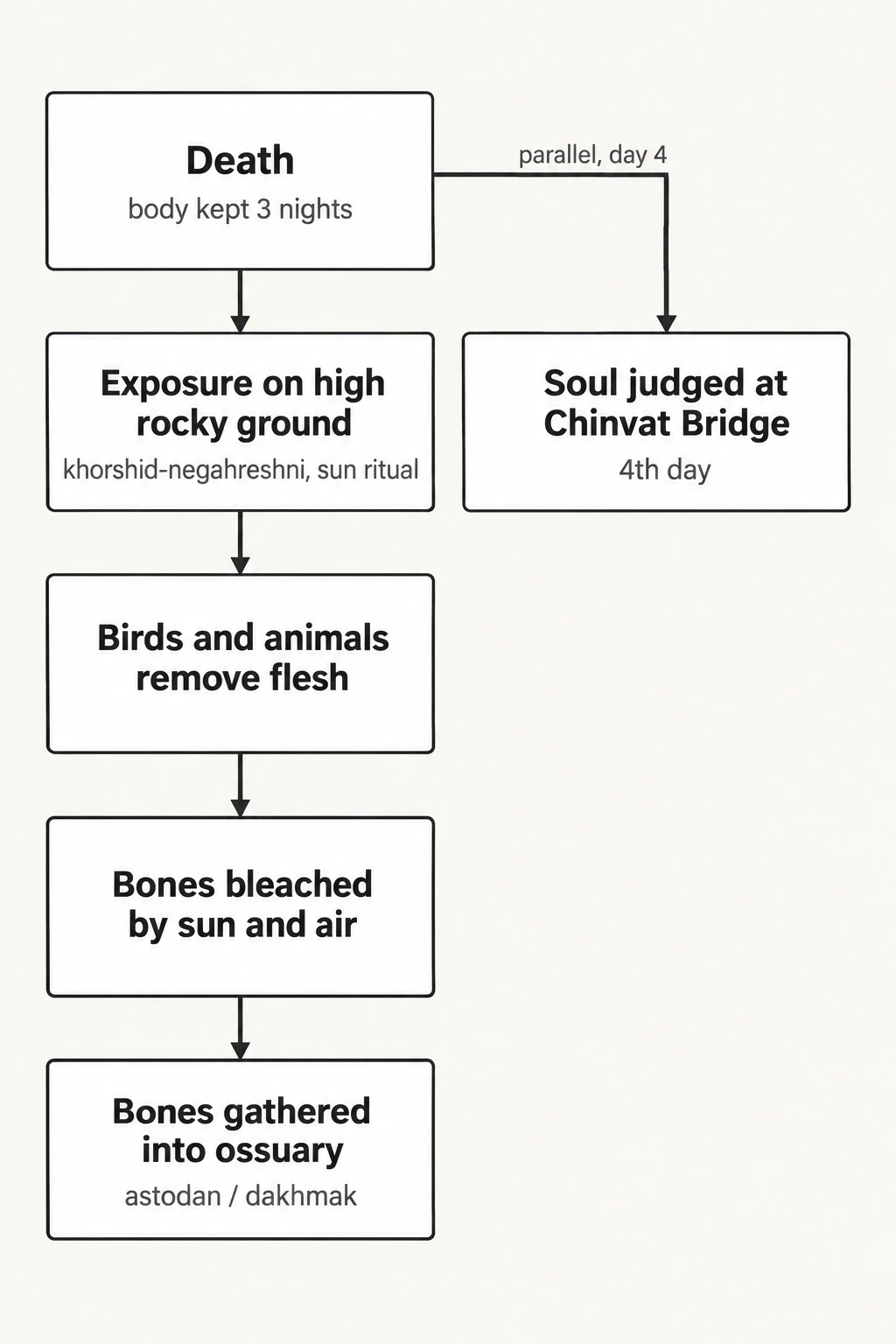 The Zoroastrian disposal of a corpse. Stages described by Atabaki and Ebrahimi, via Tehran Times reporting on Sasanian-era practice