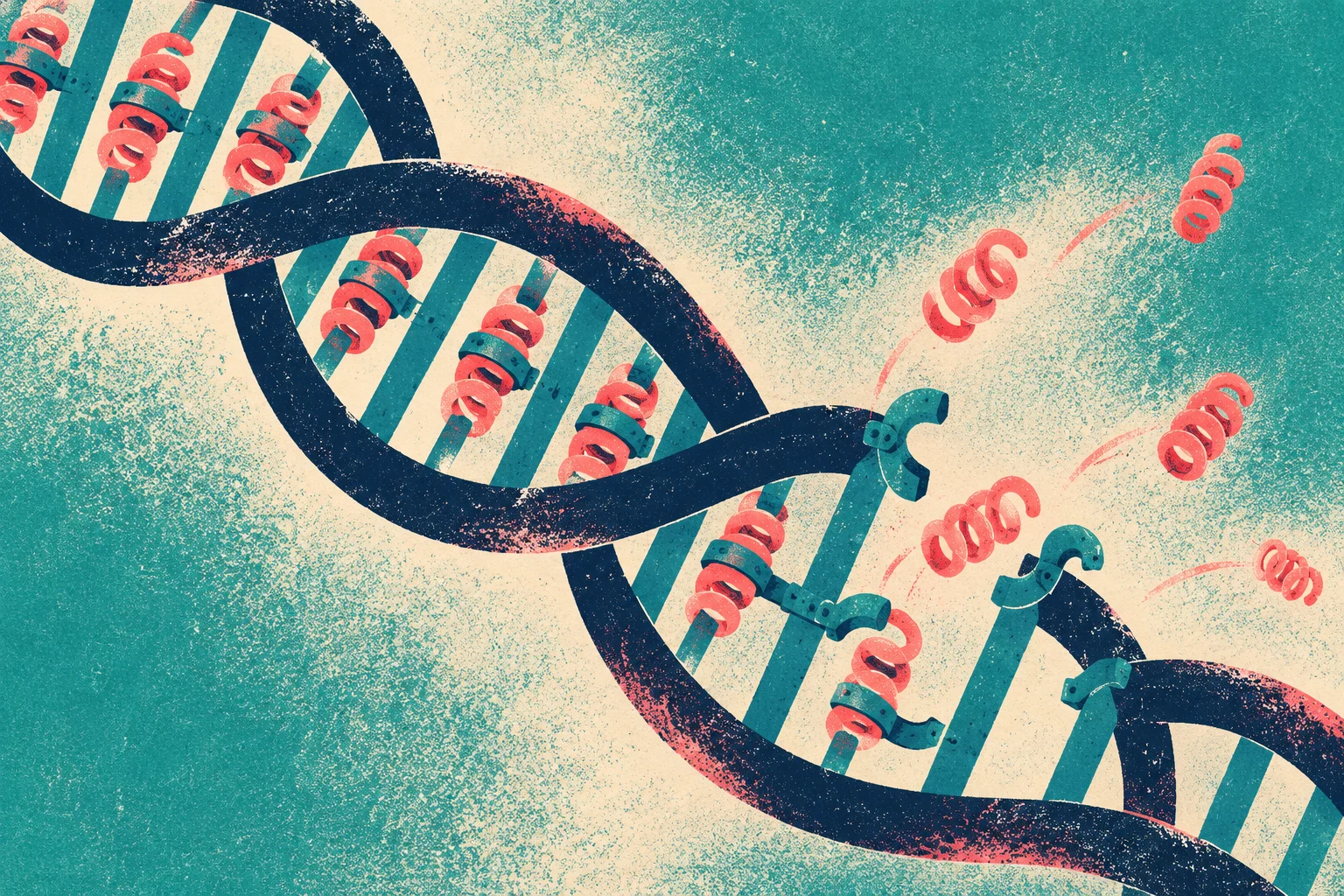 A textured illustration shows a navy and teal DNA double helix with coral coils detaching from broken rungs against a cream and teal background.