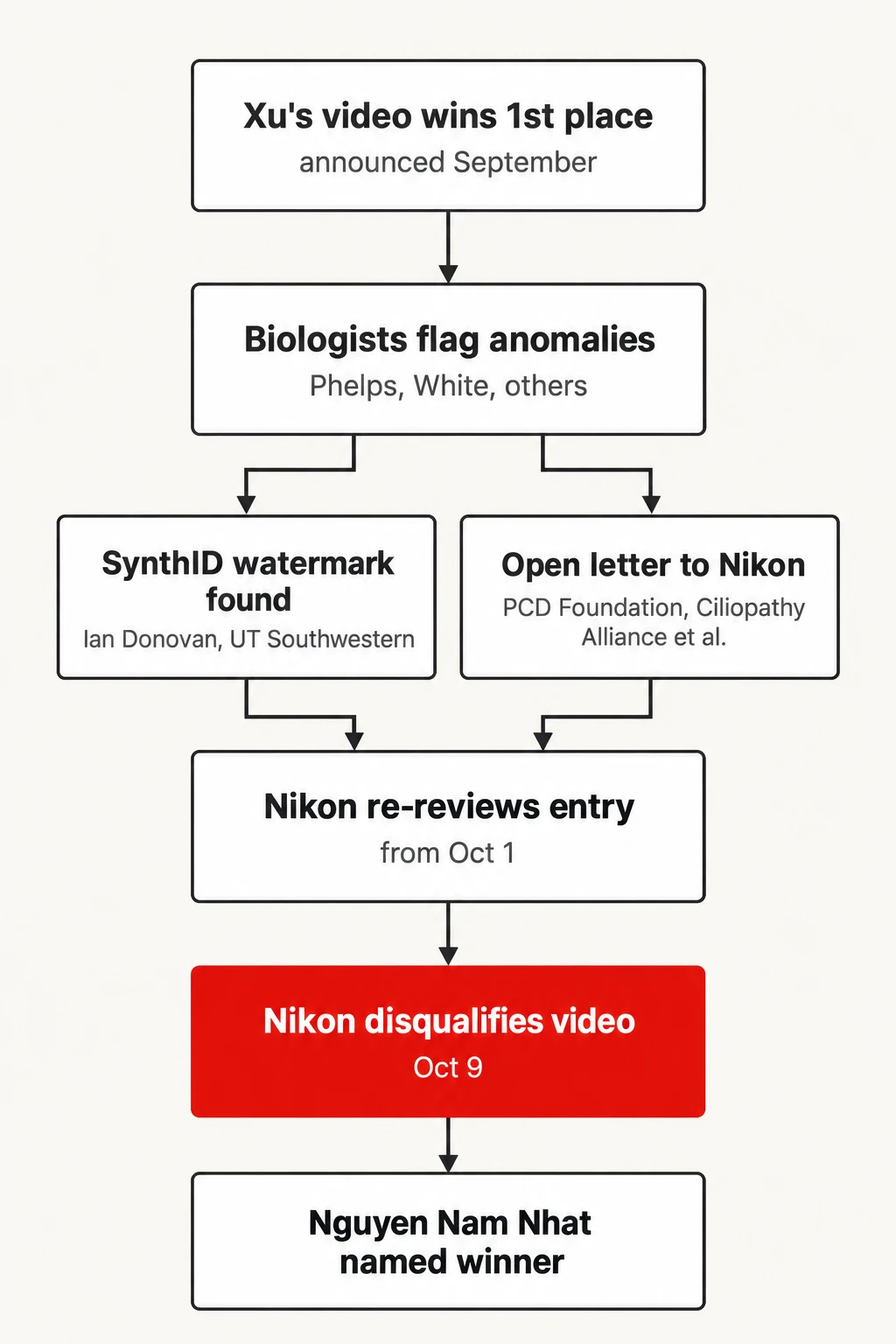 How the disqualification unfolded. Timeline of the Small World in Motion dispute, based on reporting